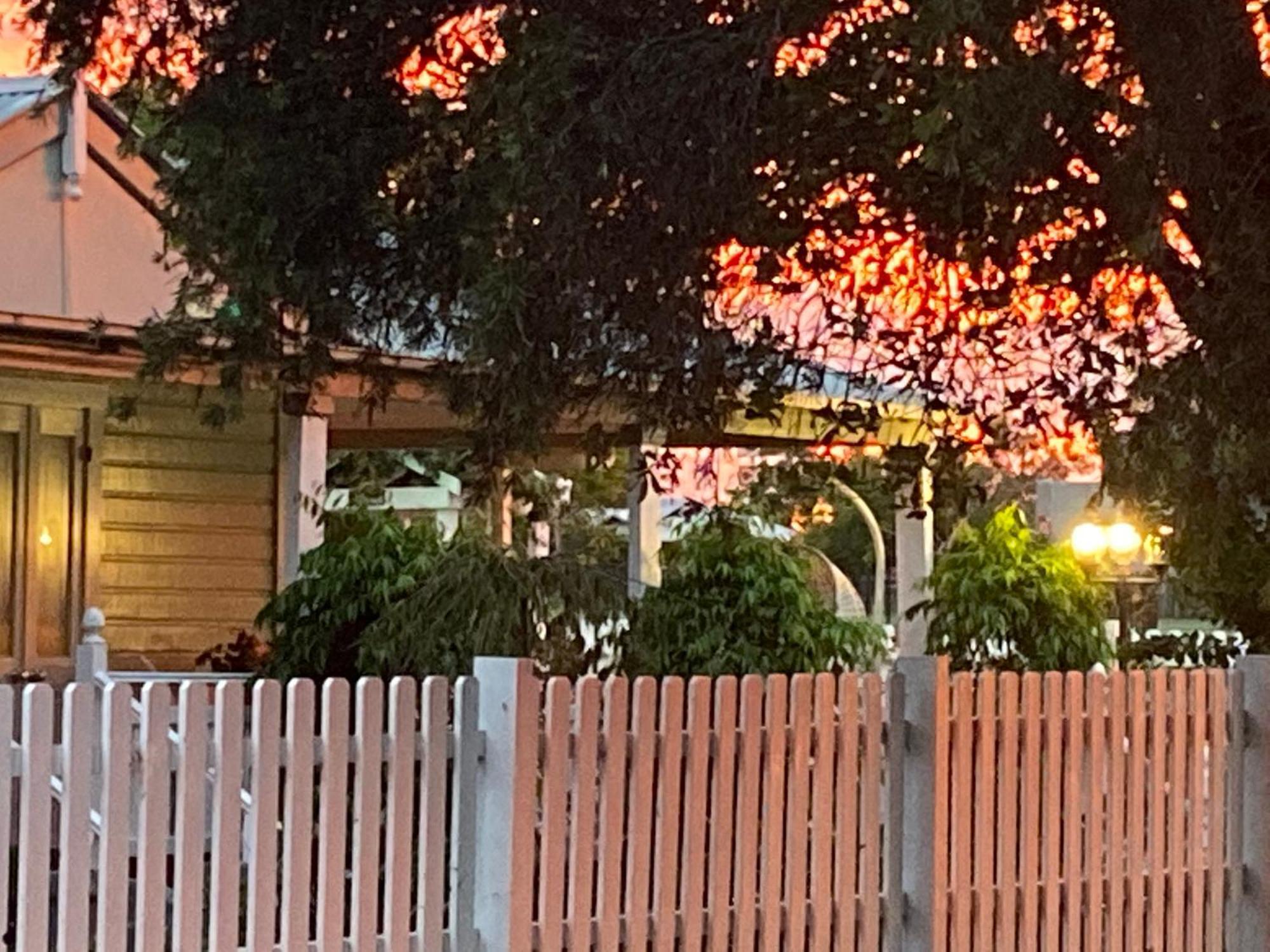 Birches B&B Taree Ngoại thất bức ảnh