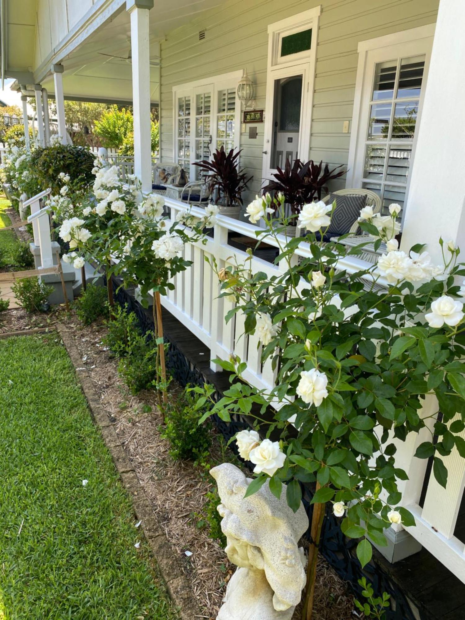 Birches B&B Taree Ngoại thất bức ảnh